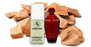 Arden Men and the Search for Sandalwood